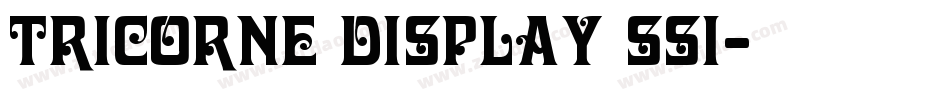 Tricorne Display SSi字体转换